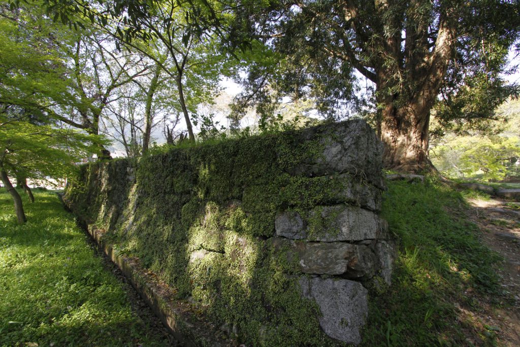秋月城の石垣