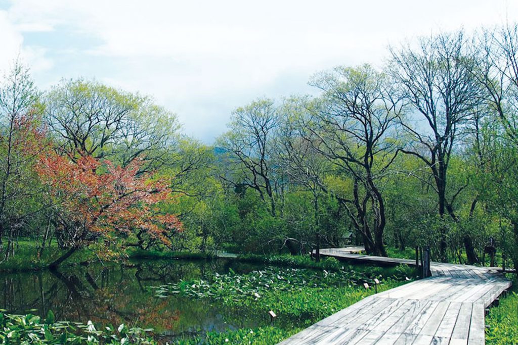 箱根町立箱根湿生花園の画像